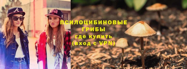 гидра Алексин