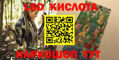 PSILOCYBIN Заводоуковск