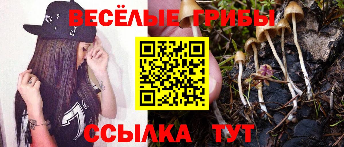 Галлюциногенные грибы Magic Shrooms  Вход с VPN  Мытищи 